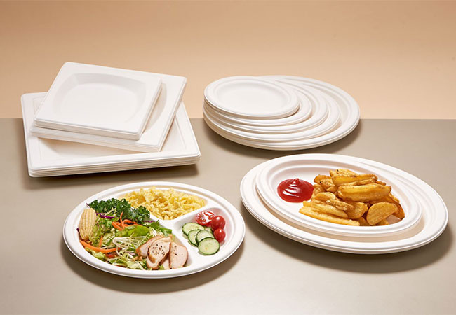 Eco Expositable to GO contenedores: el futuro del servicio de alimentos sostenibles