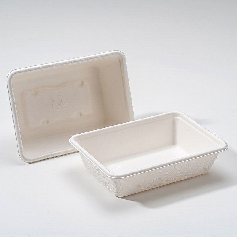 ¿Por qué Bagasse Square Box es el futuro del envasado de alimentos sostenible?