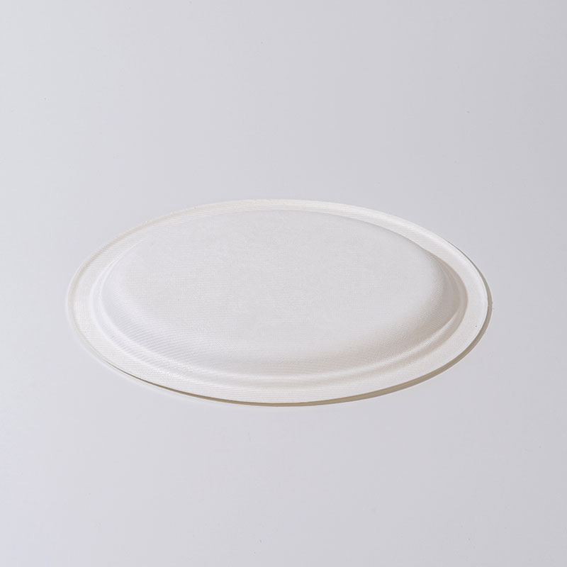 Plato ovalado de la pulpa de caña de azúcar